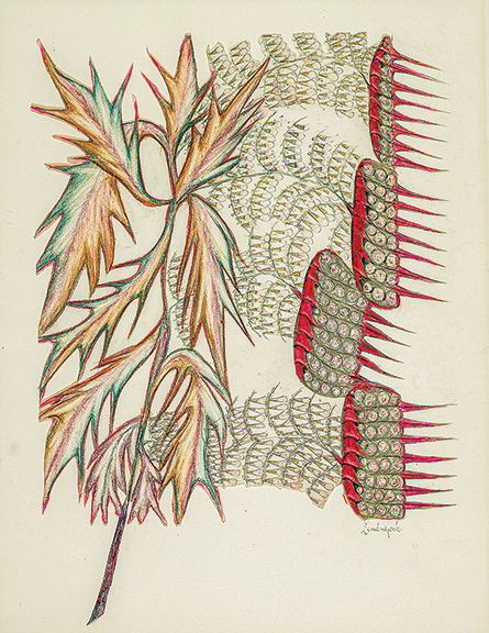 The first of four works offered in the sale by Anna Zemankova (1908-1986) was this untitled colored pencil, graphite, and collage on paper, 21½