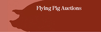 Flying Pig