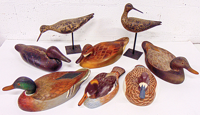 From a large collection of Decoys & Shore Birds