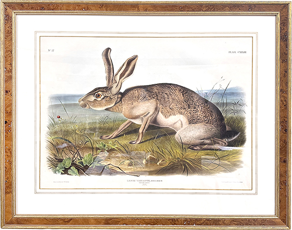 When it came to art, the variety at the show ranged from paint-by-number panels in at least one booth to this hand-colored stone lithograph, Texian Hare, priced at $6500 by Kirk and Starlette Krommenhoek of K & S Fine Arts, Purcellville, Virginia. Taken from The Viviparous Quadrupeds of North America by John James Audubon and the Reverend John Bachman, 1845-48, the work measures 20